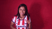 atleticodesanluis punch ligamx sanluis adsl GIF