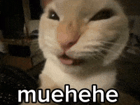 Cat Laughing GIF