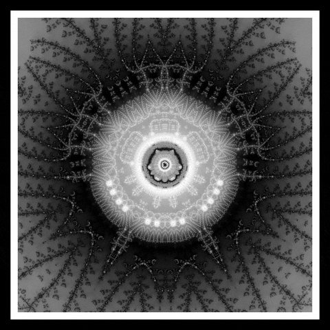 Loop Nft GIF by xponentialdesign