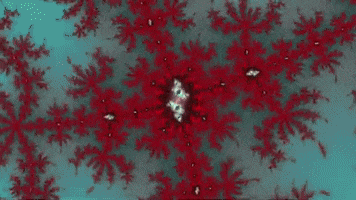 Benoit Mandelbrot Lsd GIF by xponentialdesign