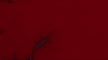 Benoit Mandelbrot Lsd GIF by xponentialdesign