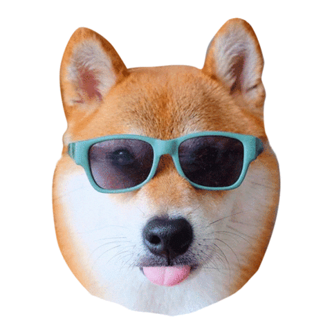 adlibfashion giphyupload valentinesday shiba pjai Sticker