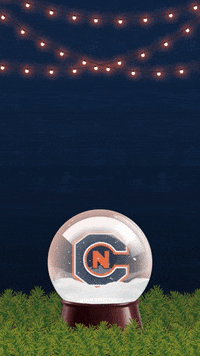 Cn Snow GIF by Carson-Newman Athletics