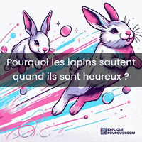 Lapin Saut GIF by ExpliquePourquoi.com