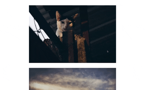 Alex440 giphygifmaker GIF