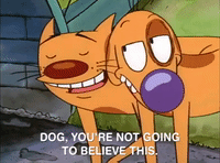 nicksplat GIF
