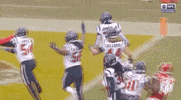 National Football League GIF by NFL
