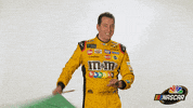 racing flag GIF by NASCAR on NBC