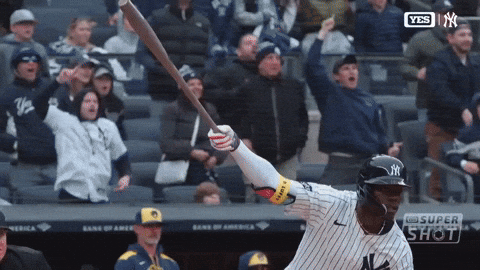 New York Yankees Sport GIF by MLB