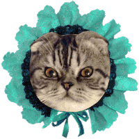 Fashion Lace Sticker