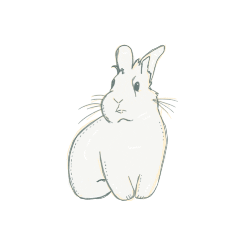 Fun Bunny Sticker