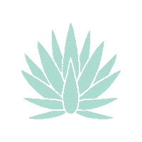 desnudatequila tequila agave desnuda desnudatequila Sticker