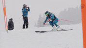 Team Usa Sport GIF by U.S. Ski & Snowboard Team