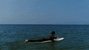 thesurfcontinuum surf surfing thesurfcontinuum surfingfundamentals GIF