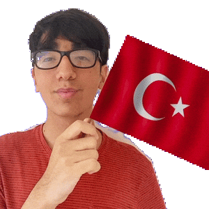 Turkish Flag Pride Sticker