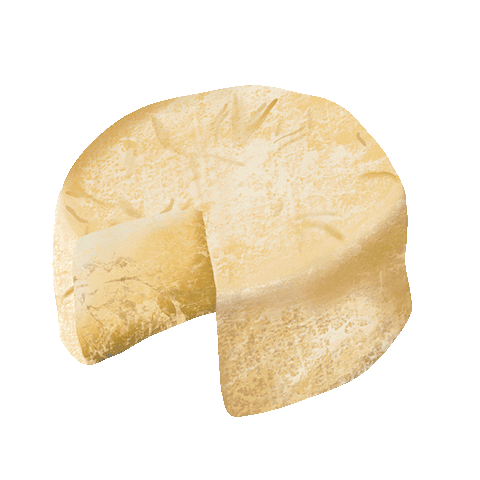 Fromage Frenchcheese Sticker by Studd Cheese