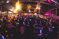 Party Fun GIF by RGB Disco