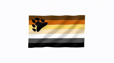Gay Bear GIF by Database數據