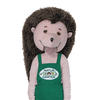 Thumbs Hedgehog Sticker by naturimgarten