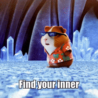 GIF by Guinea Gambino