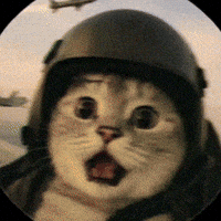 Highfyop fightingcat pilot cat highfyop cat skydiving GIF