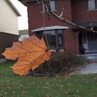 lastleaf GIF by Brittlestar