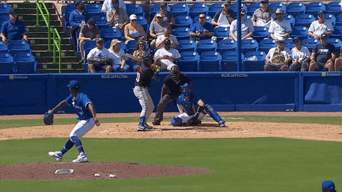 Blue Jays Baseball GIF by Toronto Blue Jays