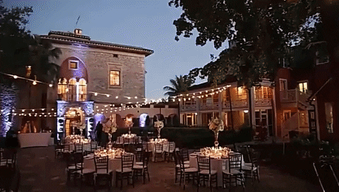 margotalva giphyupload GIF