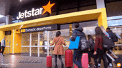 GIF by MasterChefAU