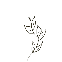 Leaves Sticker