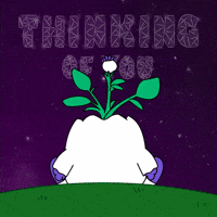 Good Night Love GIF by Magic Eden