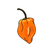 Pepper Virginia Sticker by Buskey Cider