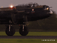 Flying War GIF by Madman Films