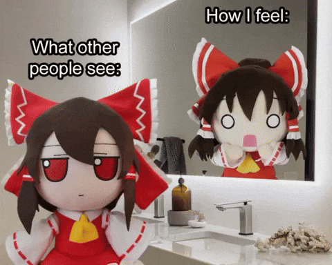 Surprised Mirror GIF