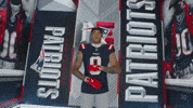 Football Nfl GIF by New England Patriots