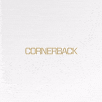 Nfl GIF by New Orleans Saints