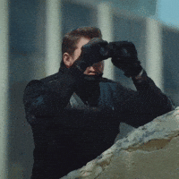 Police GIF