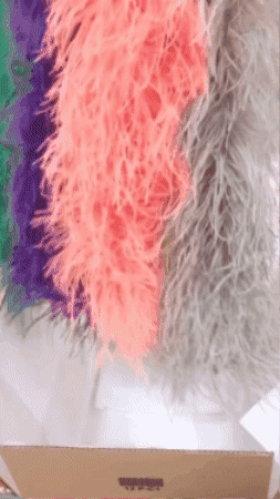 Gif decorativo