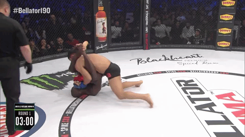 mma submission GIF by Bellator