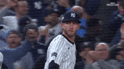 New York Yankees Thumbs Up GIF by MLB