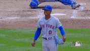 Happy Hands Up GIF by New York Mets