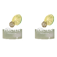 hacien drink tequila pouring hacien vodka Sticker