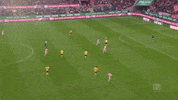 jhon cordoba soccer GIF by 1. FC Köln