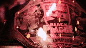 blackplaguebrewing craft beer brewery craft brewery beer cans GIF