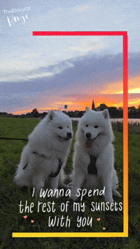 Valentine Love GIF
