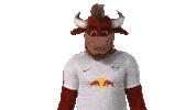 rb leipzig Sticker by Bundesliga