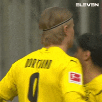 Dortmund Elevengif GIF by ElevenSportsBE