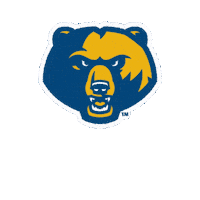 Lets Go Sticker by WVU Tech Golden Bears