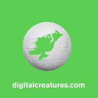 Game Goal GIF
