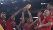 World Cup Yes GIF by FIFA